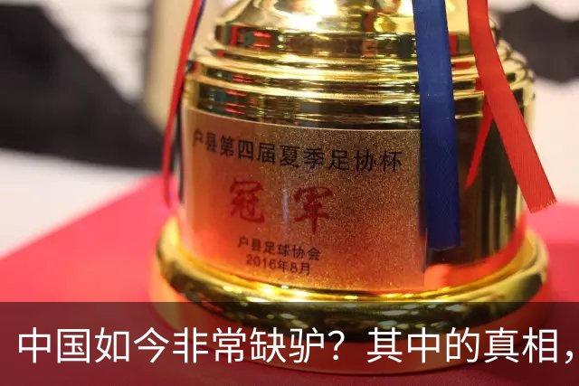 中国如今非常缺驴？其中的真相，比你想象的还要荒诞得多