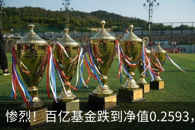 惨烈！百亿基金跌到净值0.2593，暴跌74%！无数基民不敢打开账户