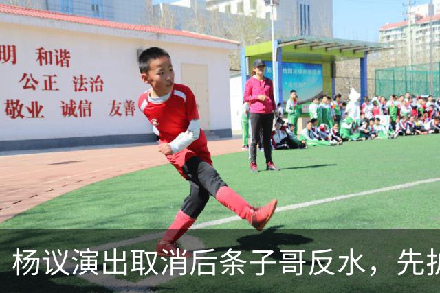 杨议演出取消后条子哥反水，先护短再打压，几十年兄弟情在流量面前说断就断