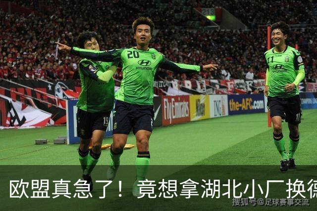 欧盟真急了！竟想拿湖北小厂换德国12人作坊，阿斯麦供应链要断了