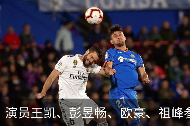 演员王凯、彭昱畅、欧豪、祖峰参加座谈会