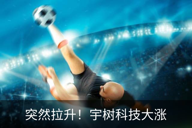 突然拉升！宇树科技大涨