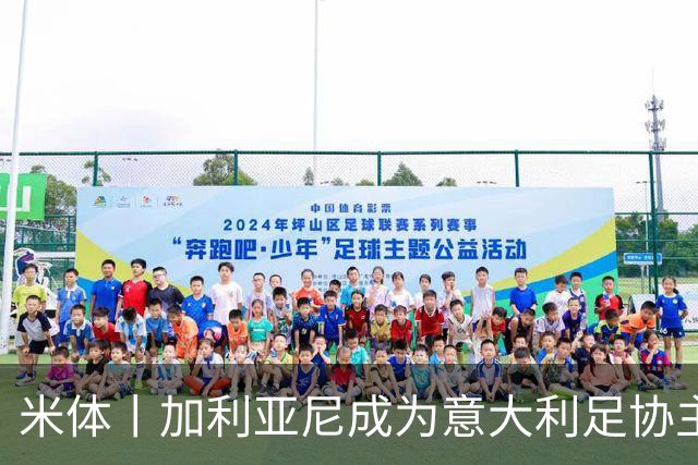 米体丨加利亚尼成为意大利足协主席热门人选
