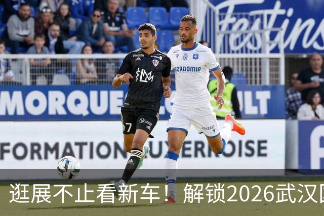 逛展不止看新车！解锁2026武汉国际车展的N种打开方式