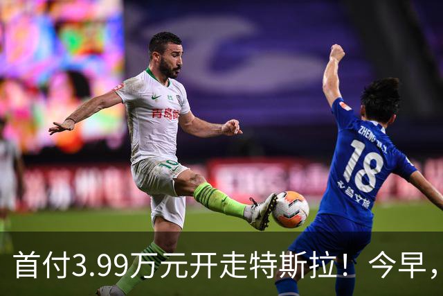 首付3.99万元开走特斯拉！今早，特斯拉推出全新方案